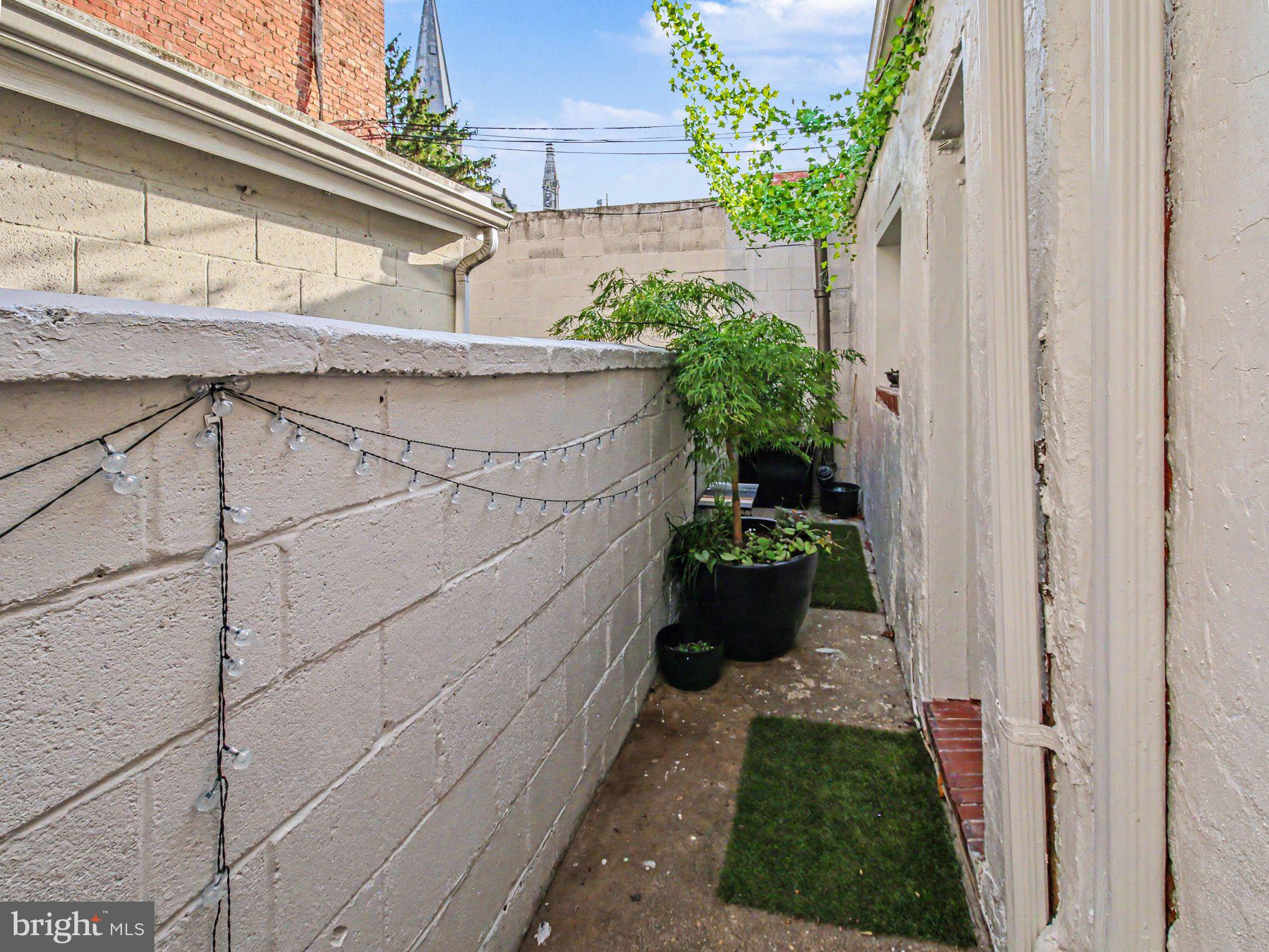 314 South Regester Street Baltimore, MD 21231 - Photo 27 of 32 Side yard