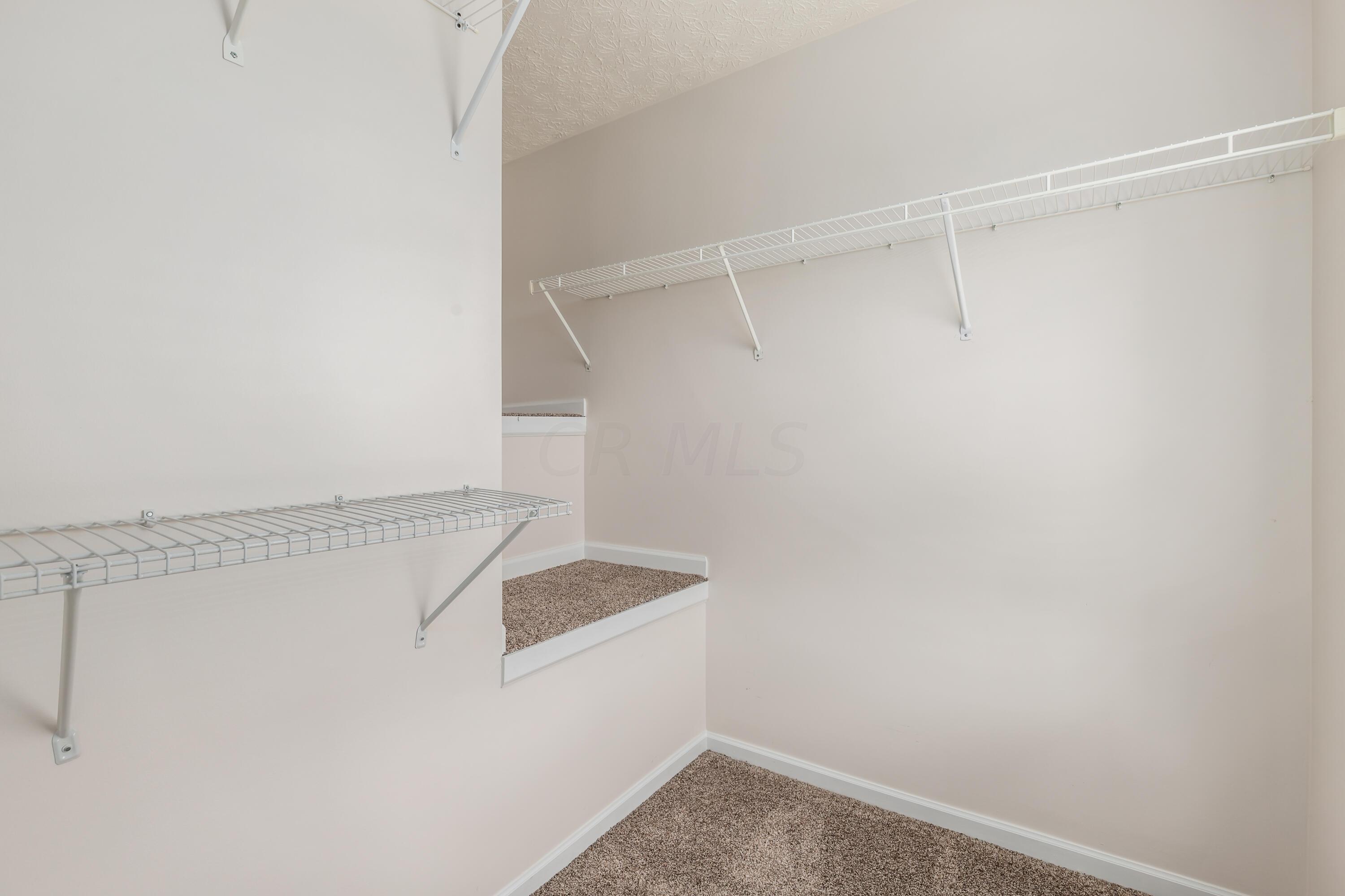 360 Holly Grove Road Lewis Center, OH 43035 - Photo 18 of 35 Owners Closet