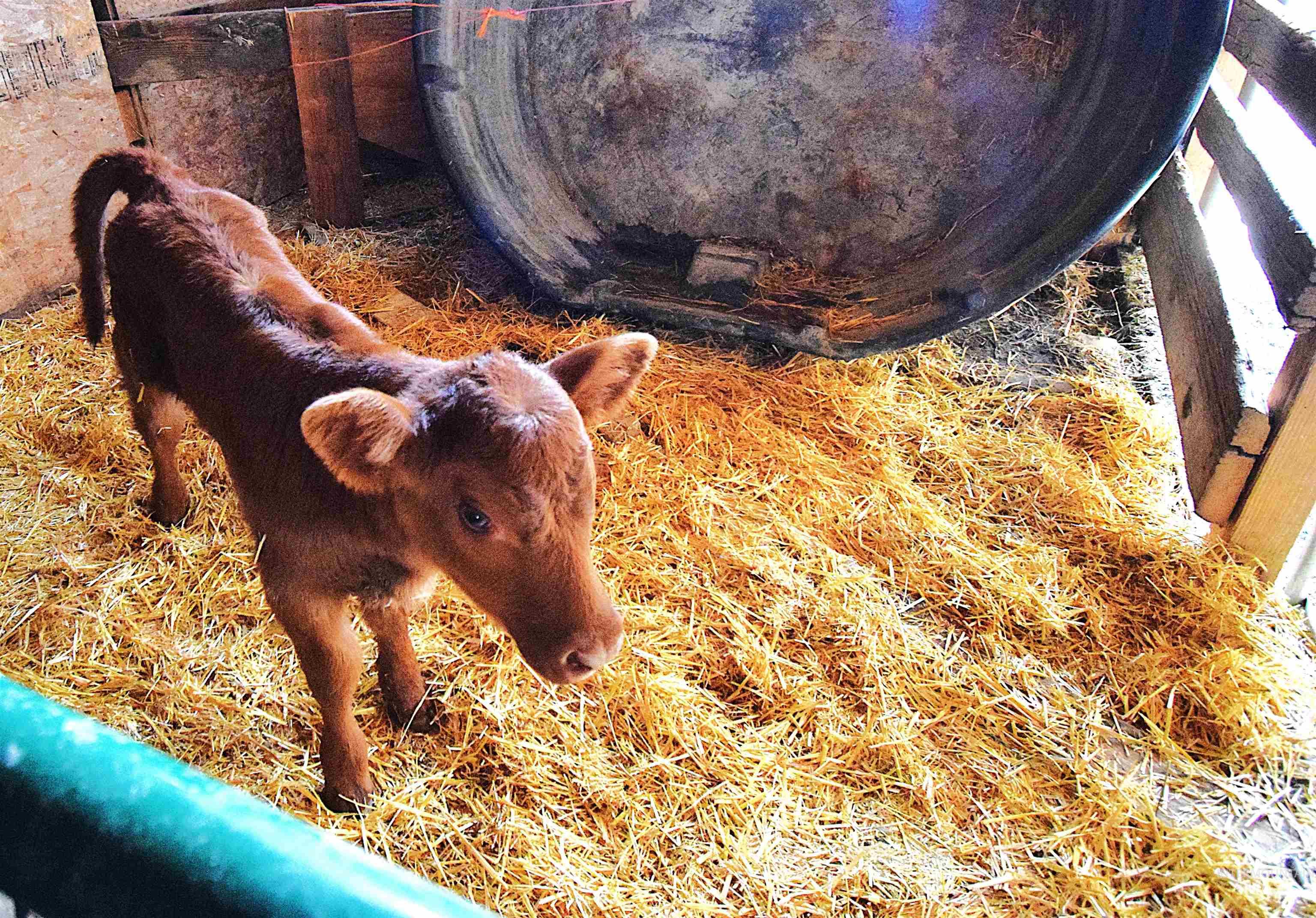 5367 Sand Hollow Road New Plymouth, ID 83655 - Photo 29 of 41