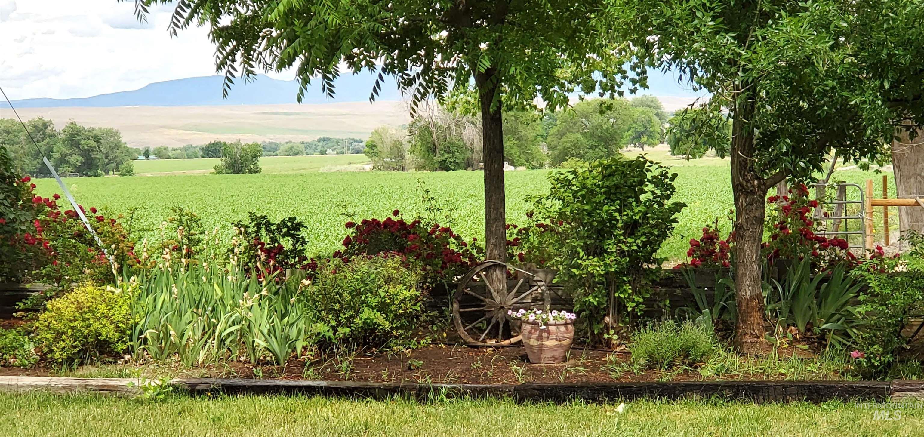 5367 Sand Hollow Road New Plymouth, ID 83655 - Photo 4 of 41