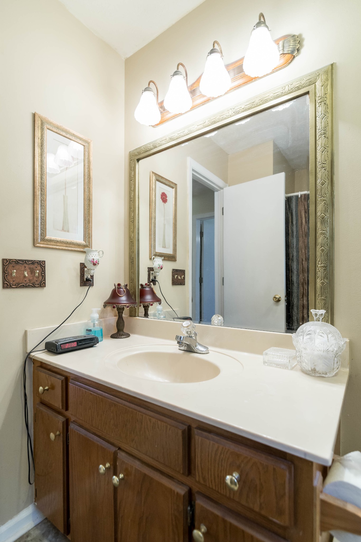 104 Brookside Point Springfield, TN 37172 - Photo 25 of 28 a bathroom with a sink vanity and a mirror