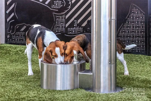 $2,550 | 7420 North Rea Pk Lane, Unit PEBBLE, Charlotte, NC 28277