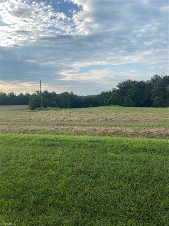 361 Gravel Hill Road Ruffin, NC 27326 - Photo 7 of 13