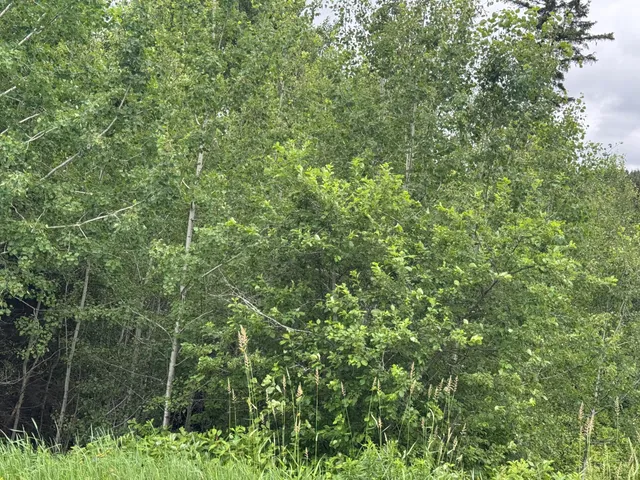 $228,500 | 26 New Canada Road, New Canada, ME 04743