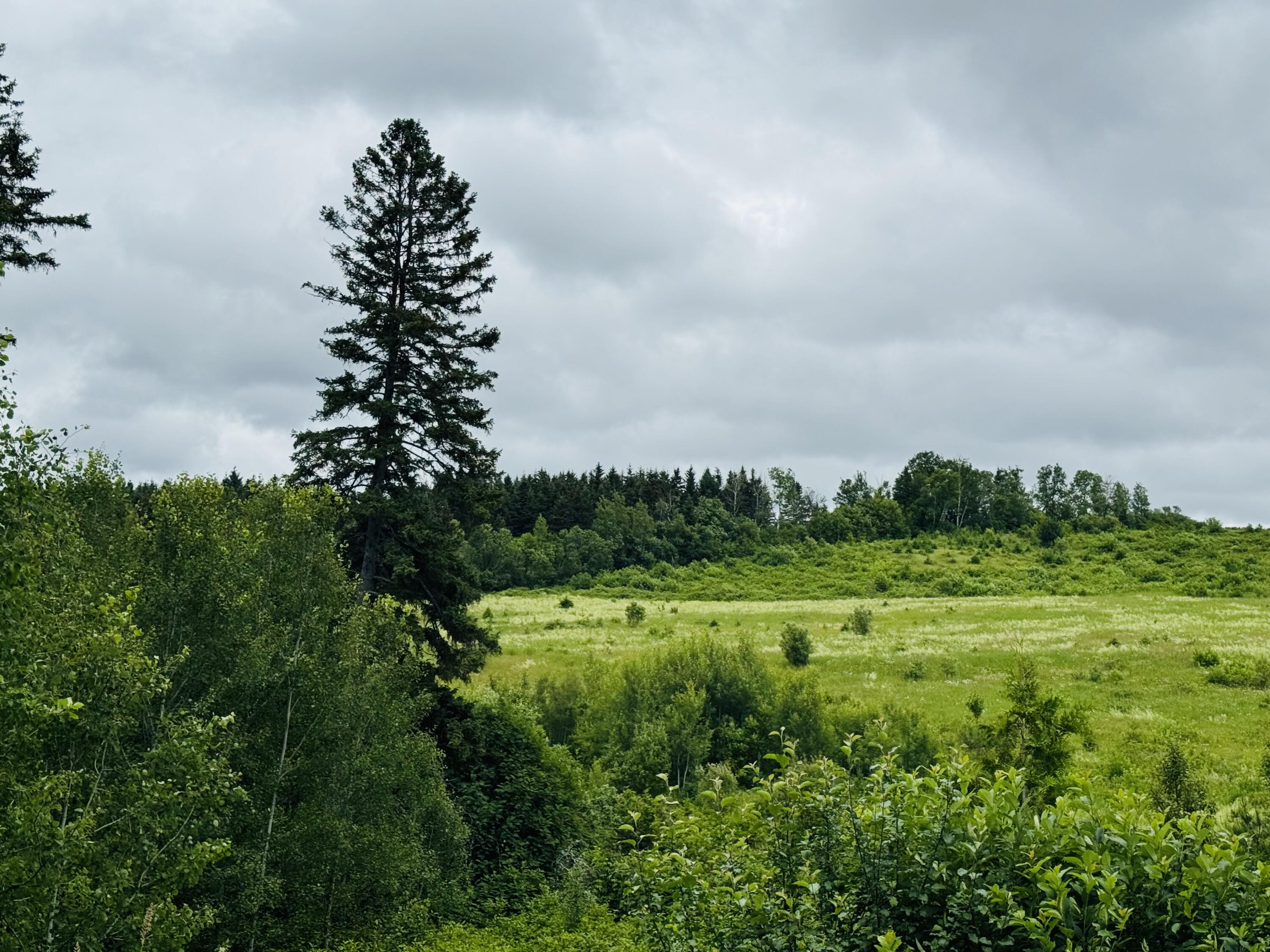 26 New Canada Road New Canada, ME 04743 - Photo 12 of 34 IMG_3793