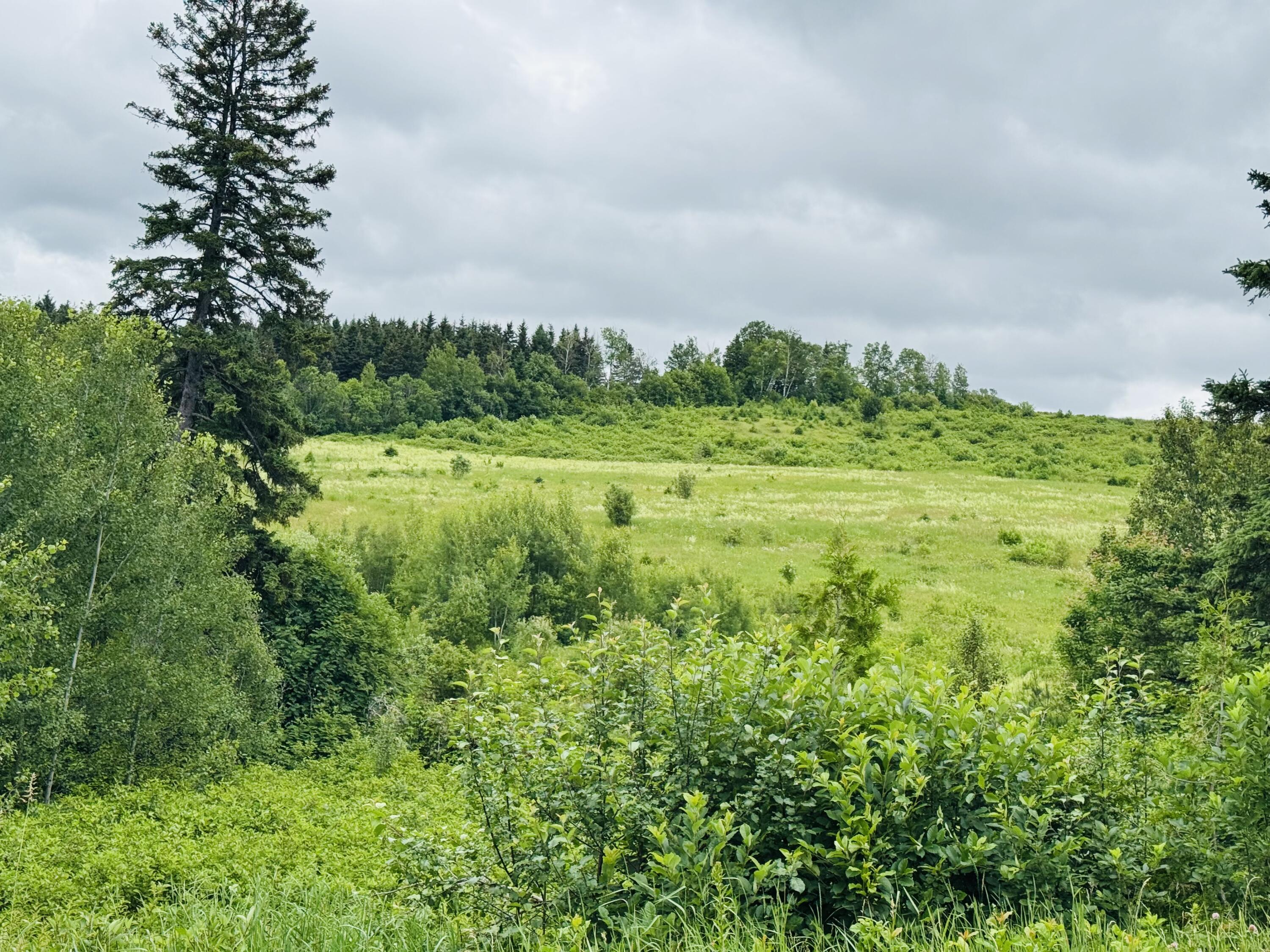 26 New Canada Road New Canada, ME 04743 - Photo 8 of 34 IMG_3796