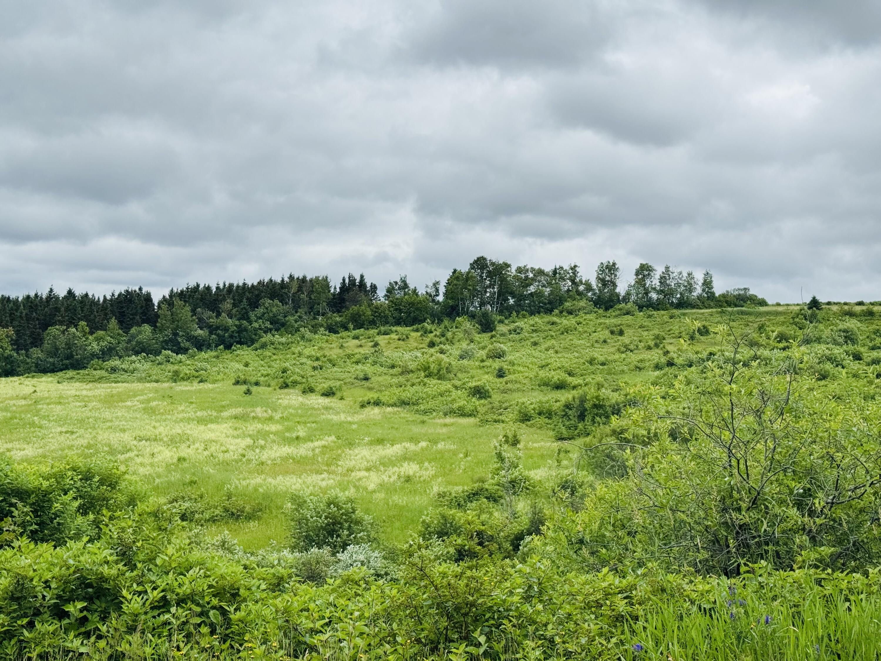 26 New Canada Road New Canada, ME 04743 - Photo 9 of 34 IMG_3797