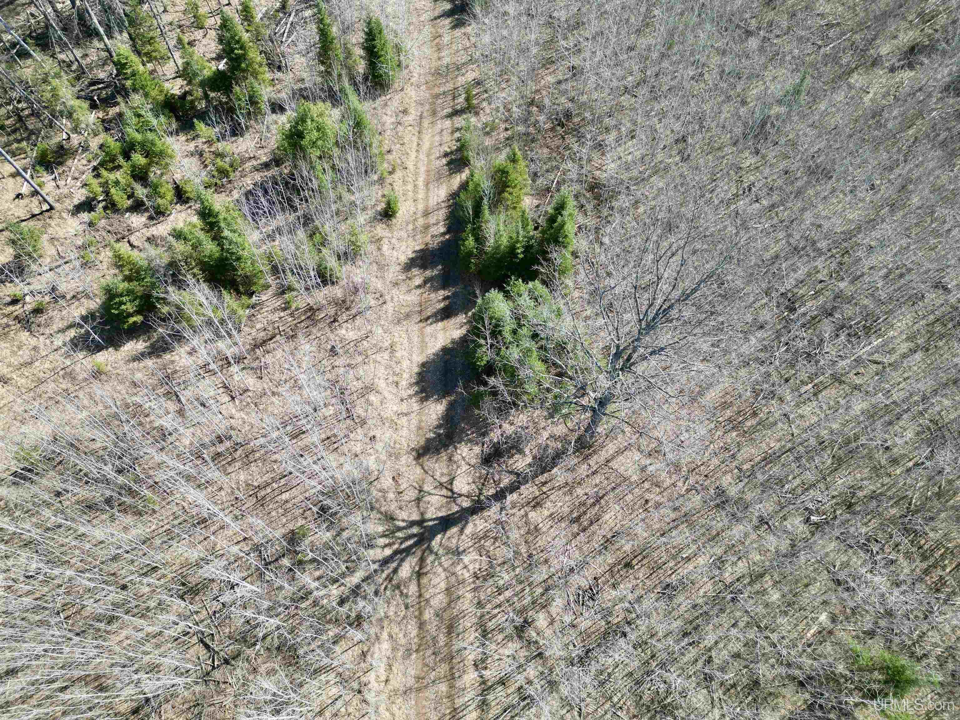 577 Rd Vulcan Mi 49892 Road Vulcan, MI 49892 - Photo 7 of 17