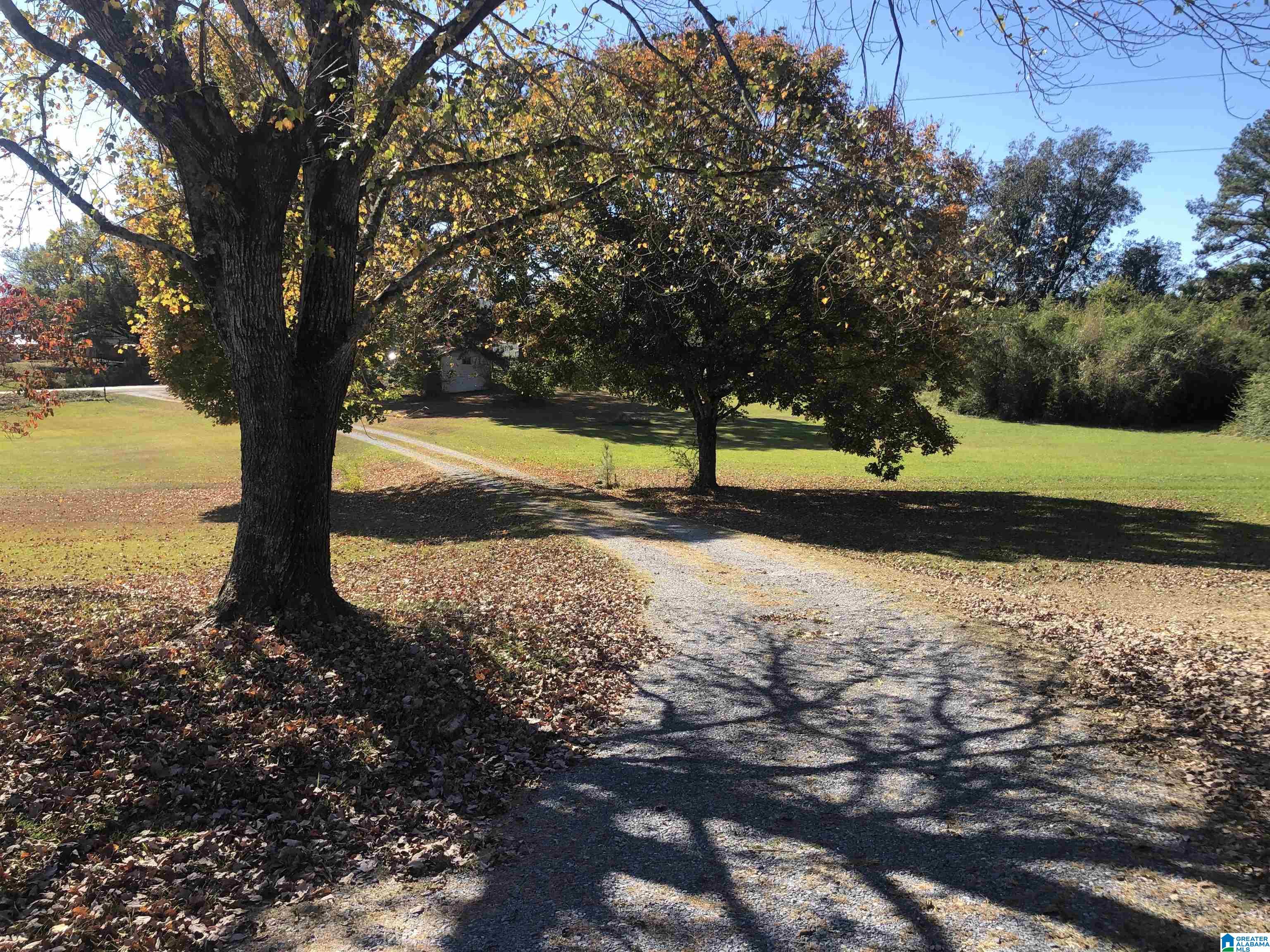 434 Flag Pole Mountain Road Childersburg, AL 35151 - Photo 5 of 71