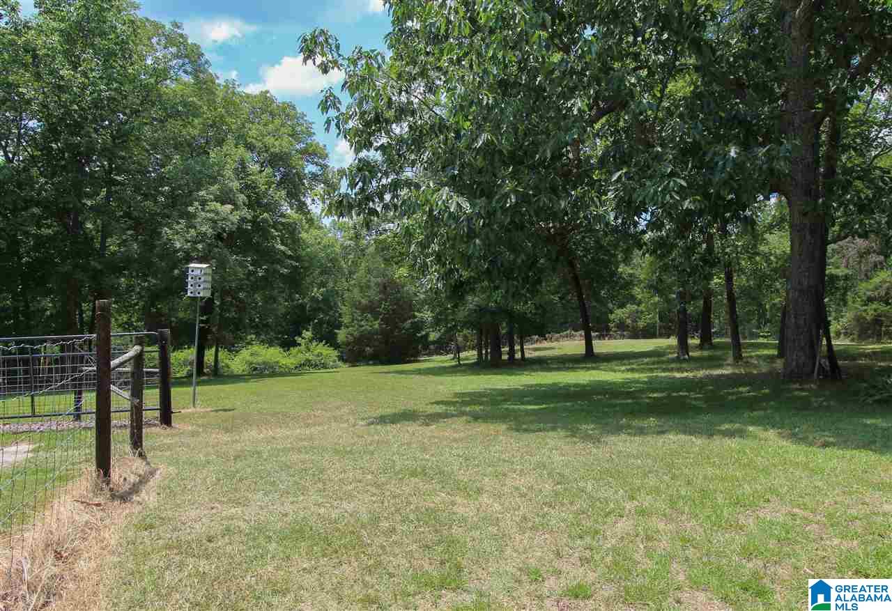 331 Powell Road Remlap, AL 35133 - Photo 42 of 47 Gallery Image 42