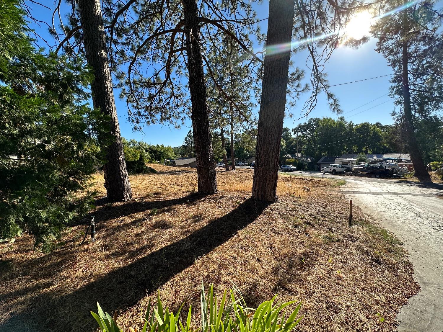 1 Watkins Street Murphys, CA 95247 - Photo 4 of 4