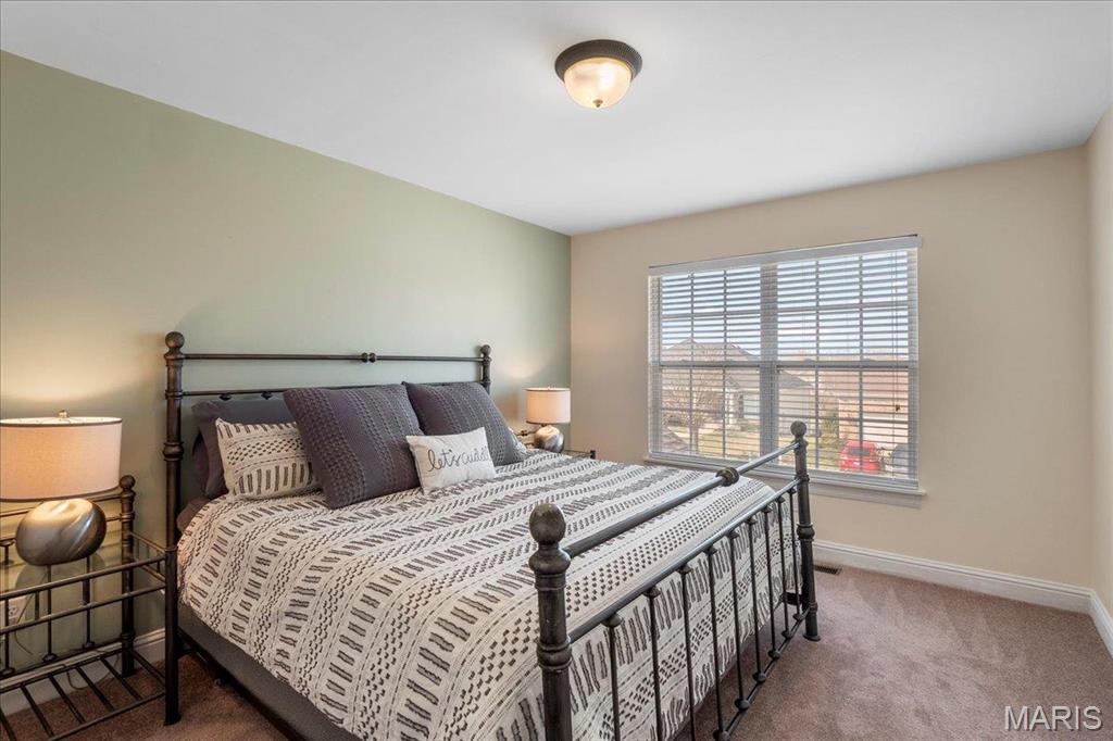 812 Blue Aster Drive Waterloo, IL 62298 - Photo 34 of 53