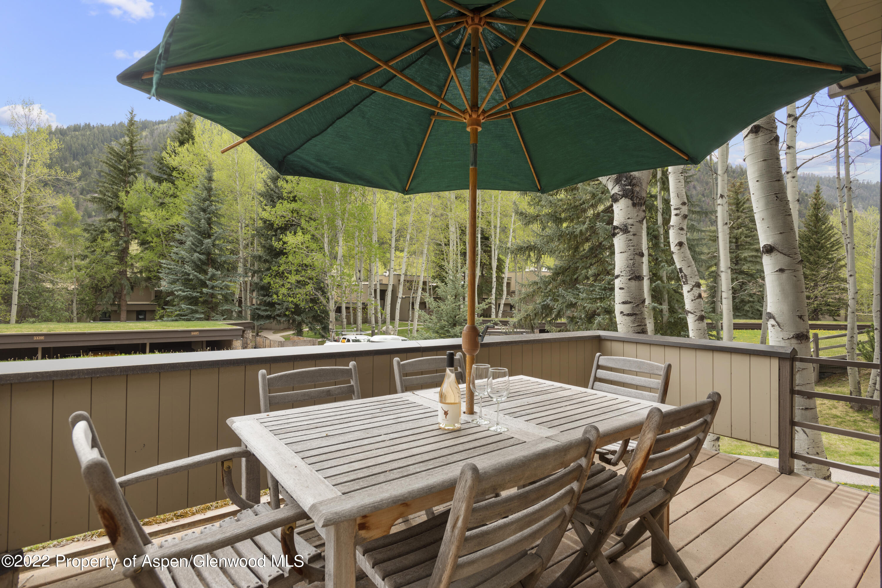 1430 Crystal Lake Road Aspen, CO 81611 - Photo 3 of 22 1430CrystalLake_HiRes22051706