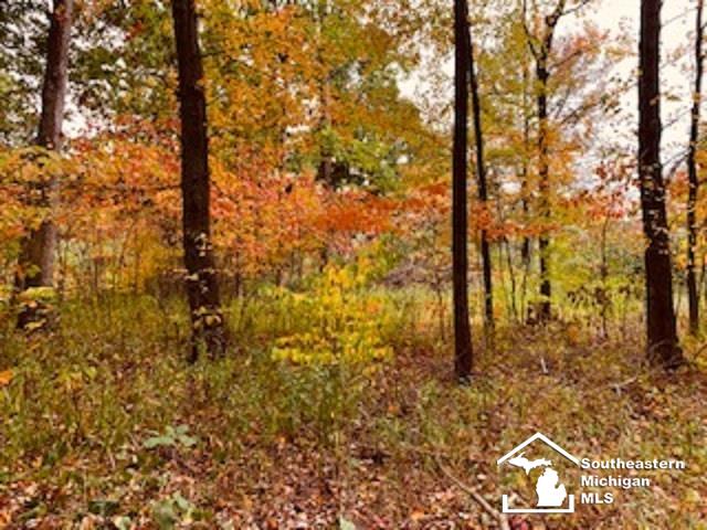 11833 Kruse Road Petersburg, MI 49270 - Photo 34 of 39