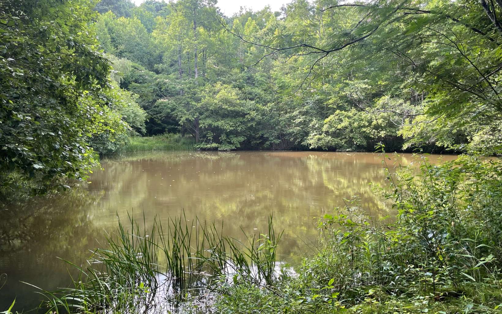 Lot14 Lot14 Acorn Cir  