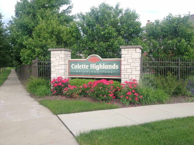 15638 Scotsglen Road Orland Park, IL 60462 - Photo 2 of 14