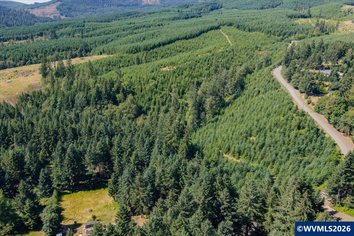 432 Chamberlain Road Falls City, OR 97344 - Photo 19 of 26
