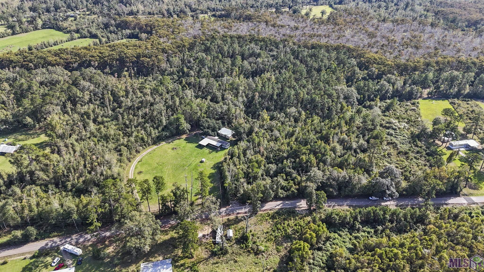 29882 Lower Rome Road Springfield, LA 70462 - Photo 6 of 13