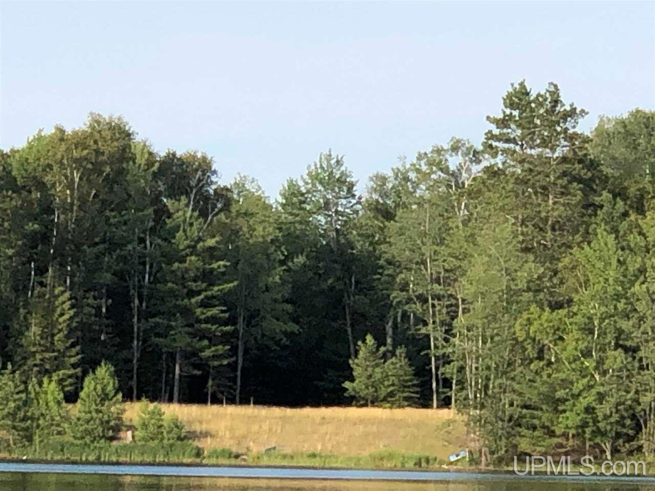 14665 Mahskeekee Lake 33 Rd (co Rd 442) Wetmore, MI 49895 - Photo 8 of 9