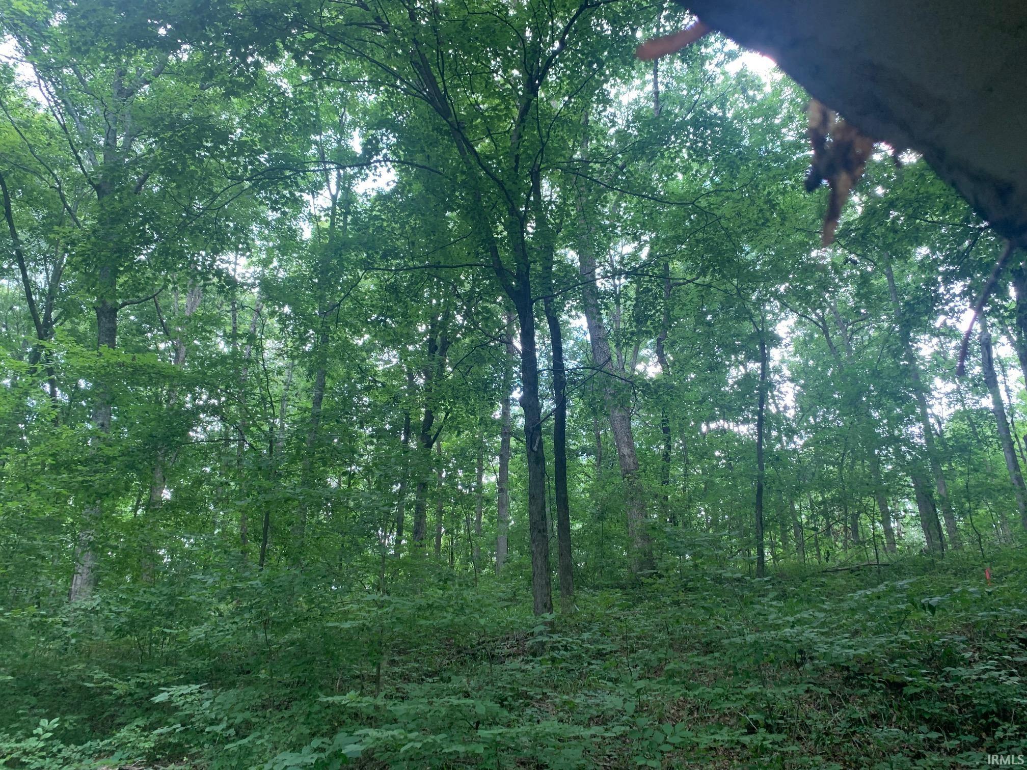 0 Utopia Road Derby, IN 47525 - Photo 2 of 6