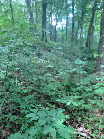 $27,900 | 0 Utopia Road, Derby, IN 47525