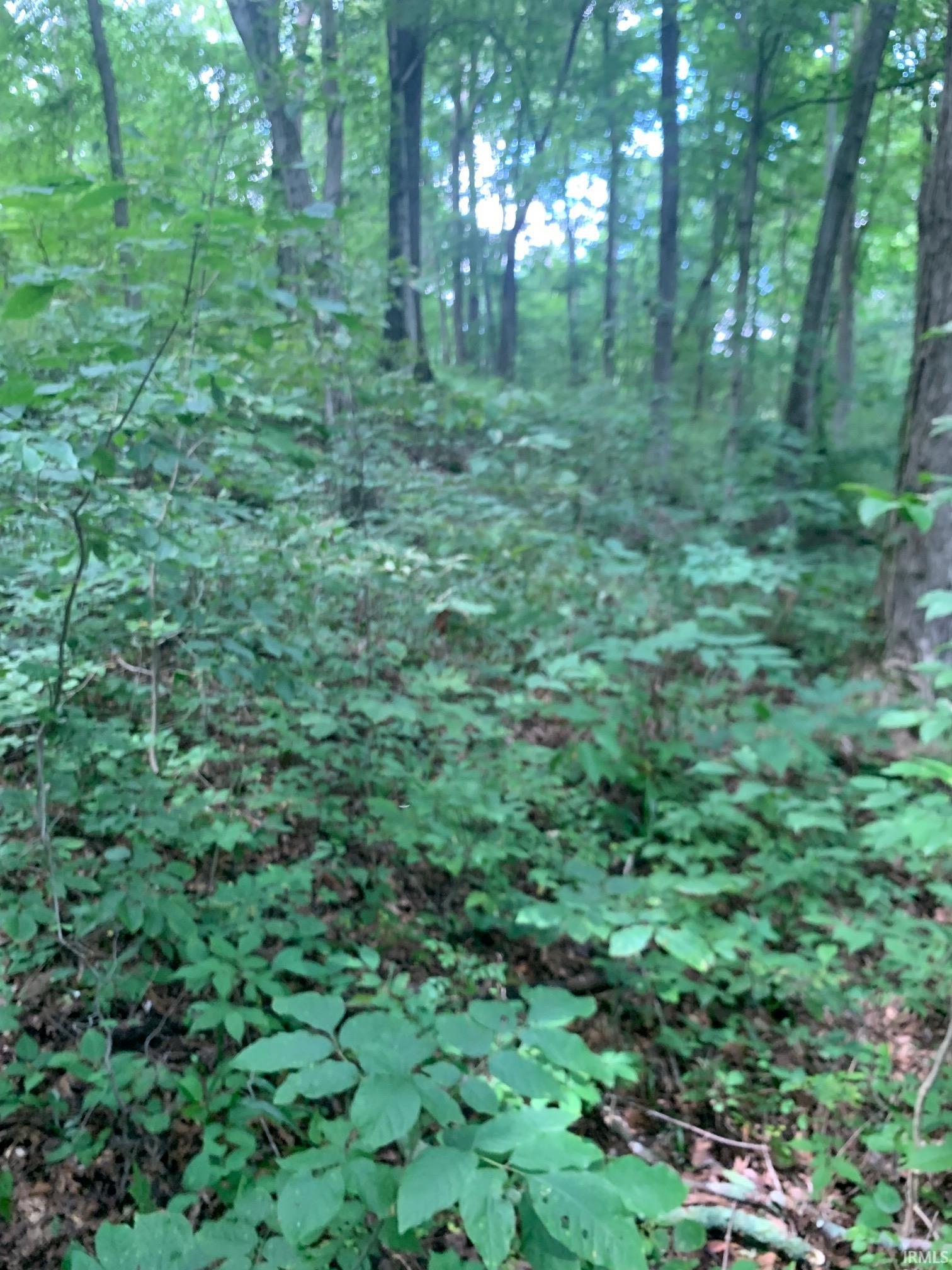 0 Utopia Road Derby, IN 47525 - Photo 4 of 6