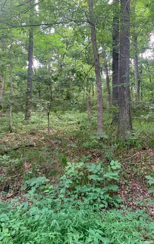 $27,900 | 0 Utopia Road, Derby, IN 47525