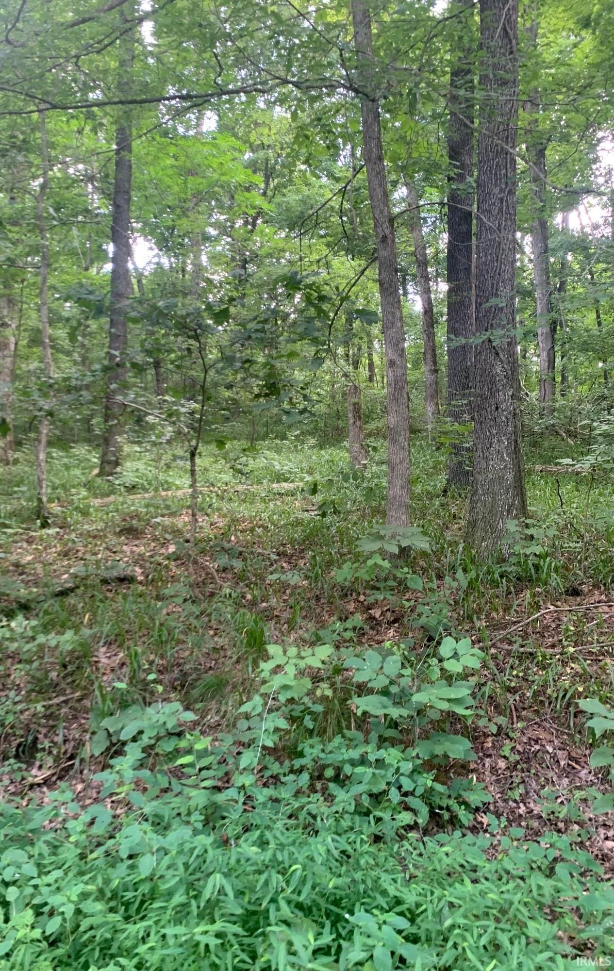 0 Utopia Road Derby, IN 47525 - Photo 5 of 6