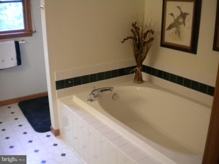 1225 Cowpath Road Hatfield, PA 19440 - Photo 11 of 17 Master Bathroom