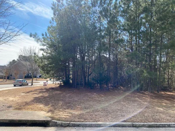 a view of a yard with a tree