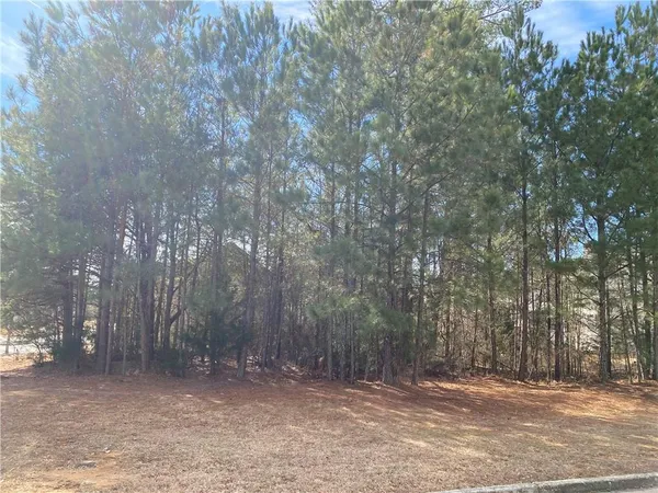 a view of a field with trees in the background