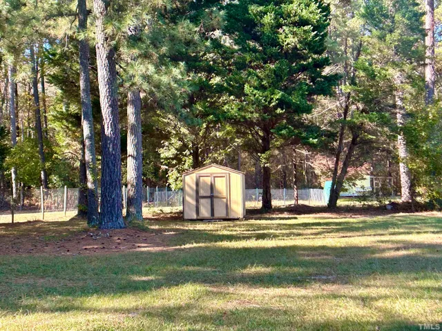 a garden view with large trees