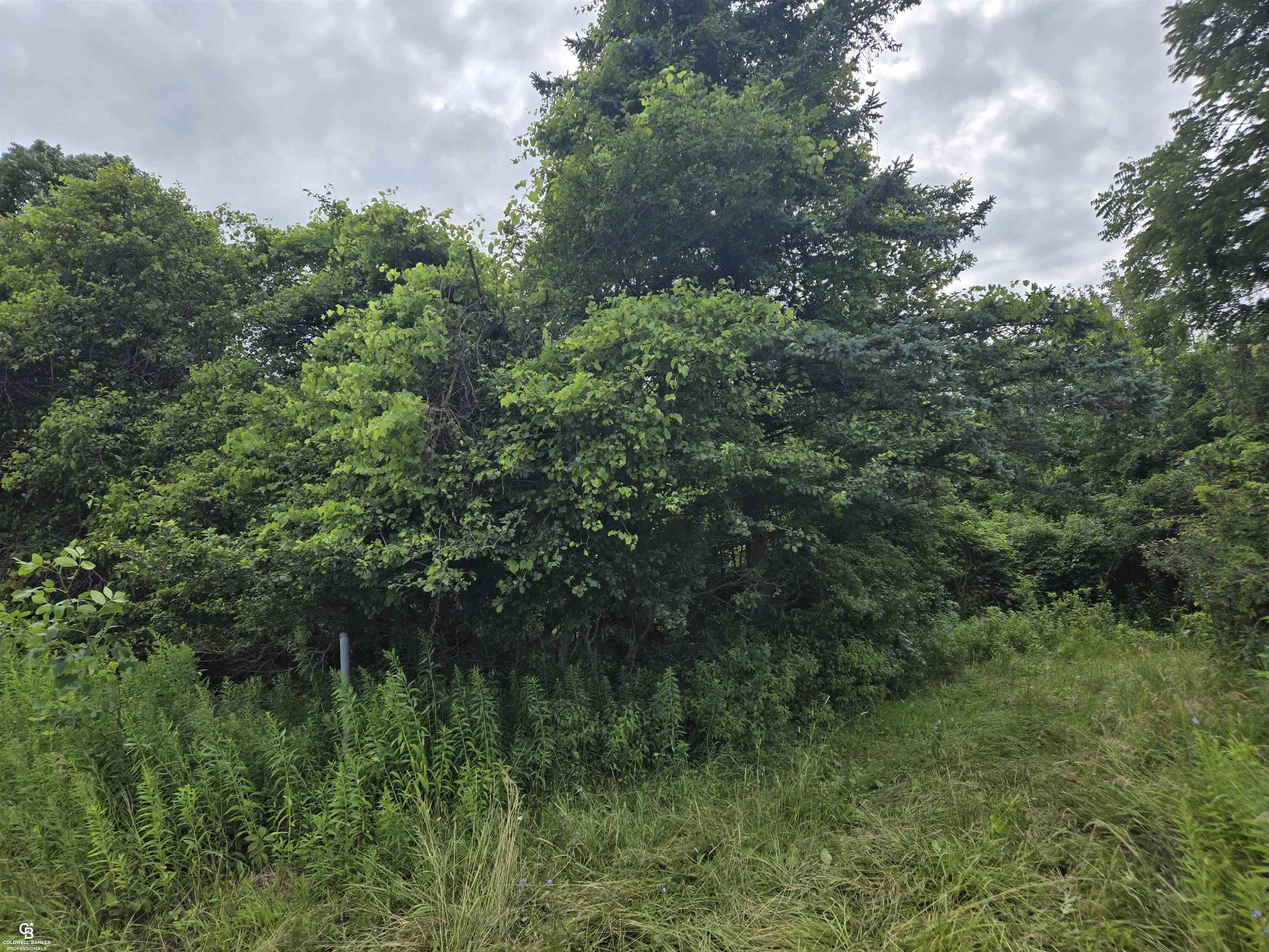 0 Kilgore Road Yale, MI 48097 - Photo 5 of 10 Gallery Image 5