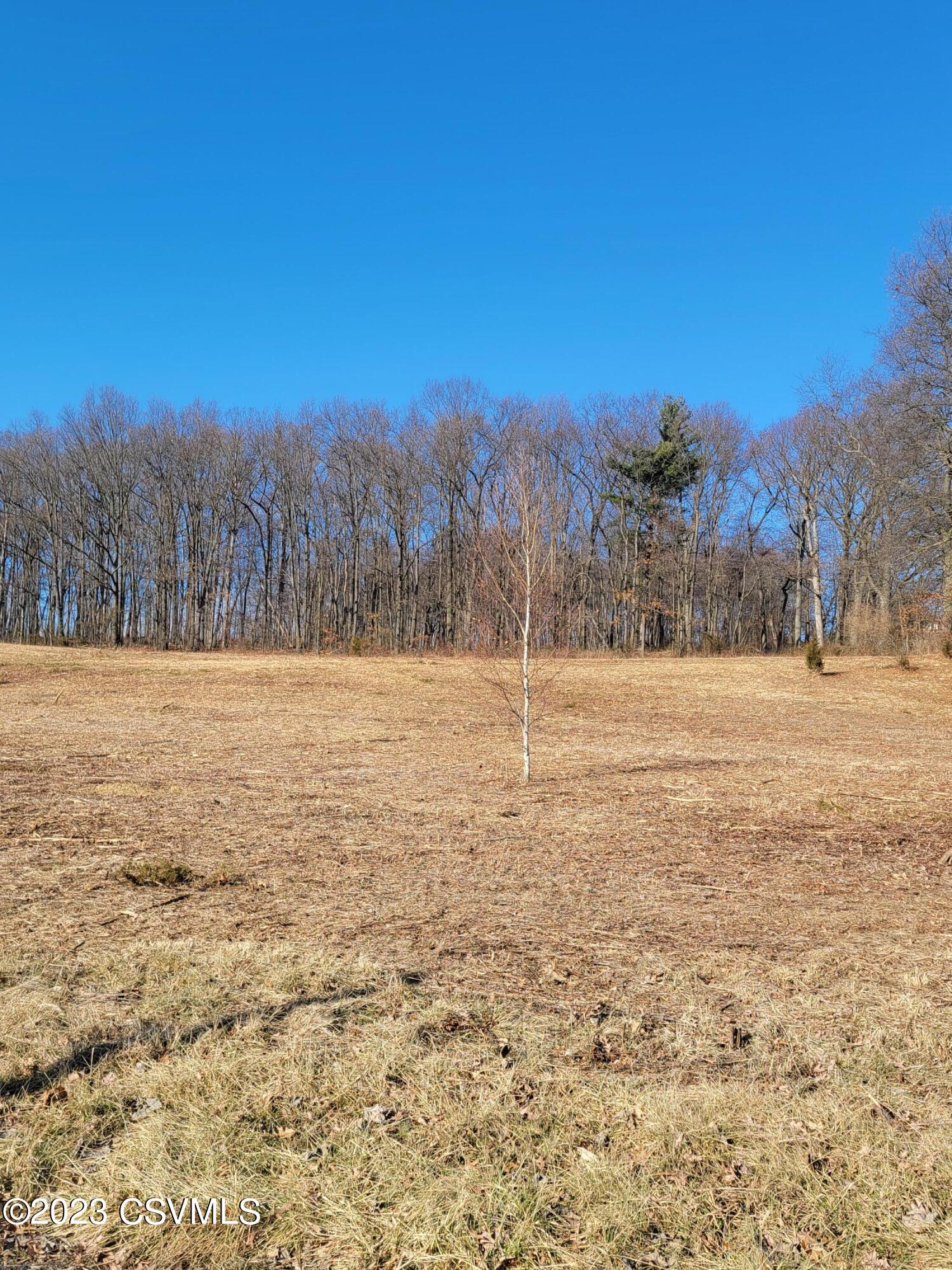 Lot #1 Foye Road Sunbury, PA 17801 - Photo 6 of 7 Gallery Image 6