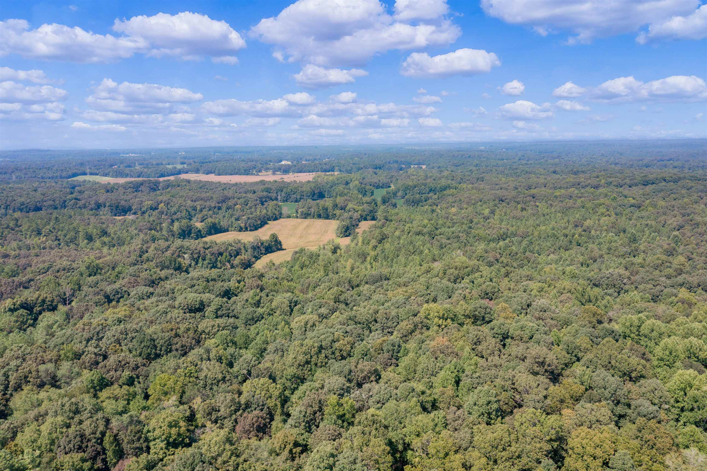 1283 Pate Road Huntingdon, TN 38344 - Photo 20 of 23 Photo 20