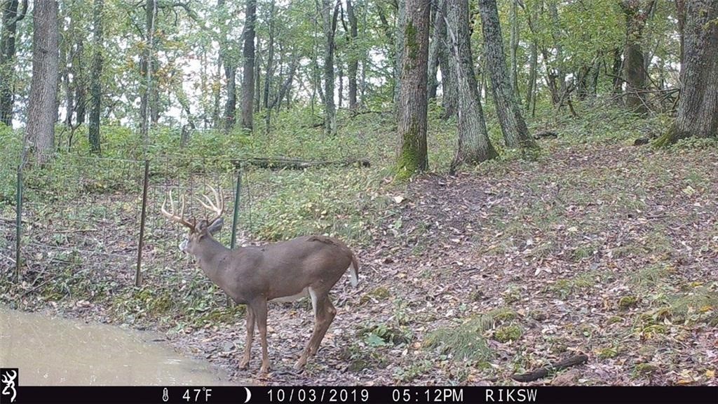 Xx Xx Simons Road Mondovi, WI 54755 - Photo 17 of 45