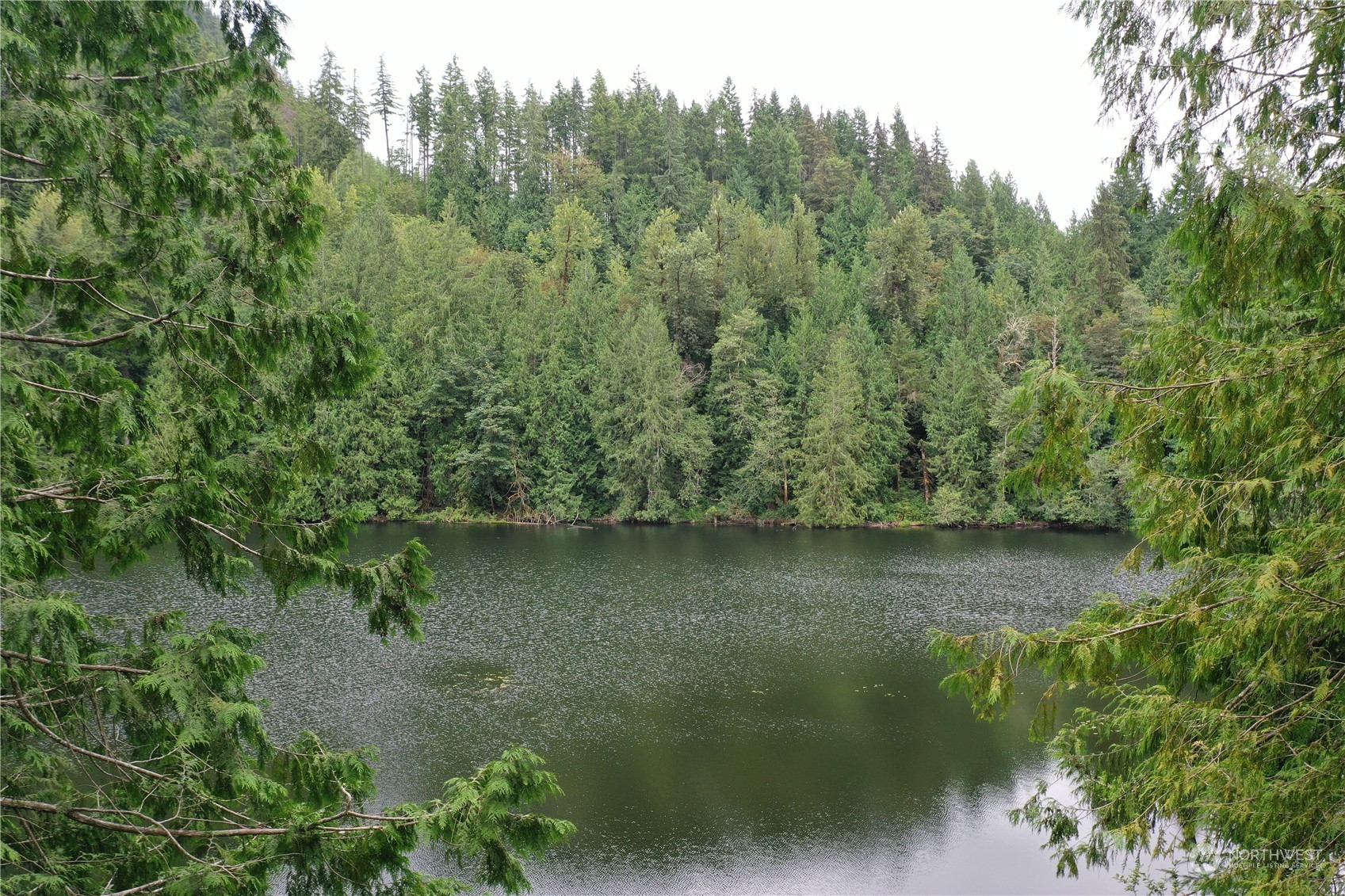 31626 Dotson Road Monroe, WA 98272 - Photo 26 of 26 Gallery Image 26