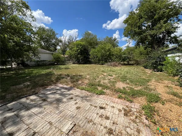 a view of a yard with trees
