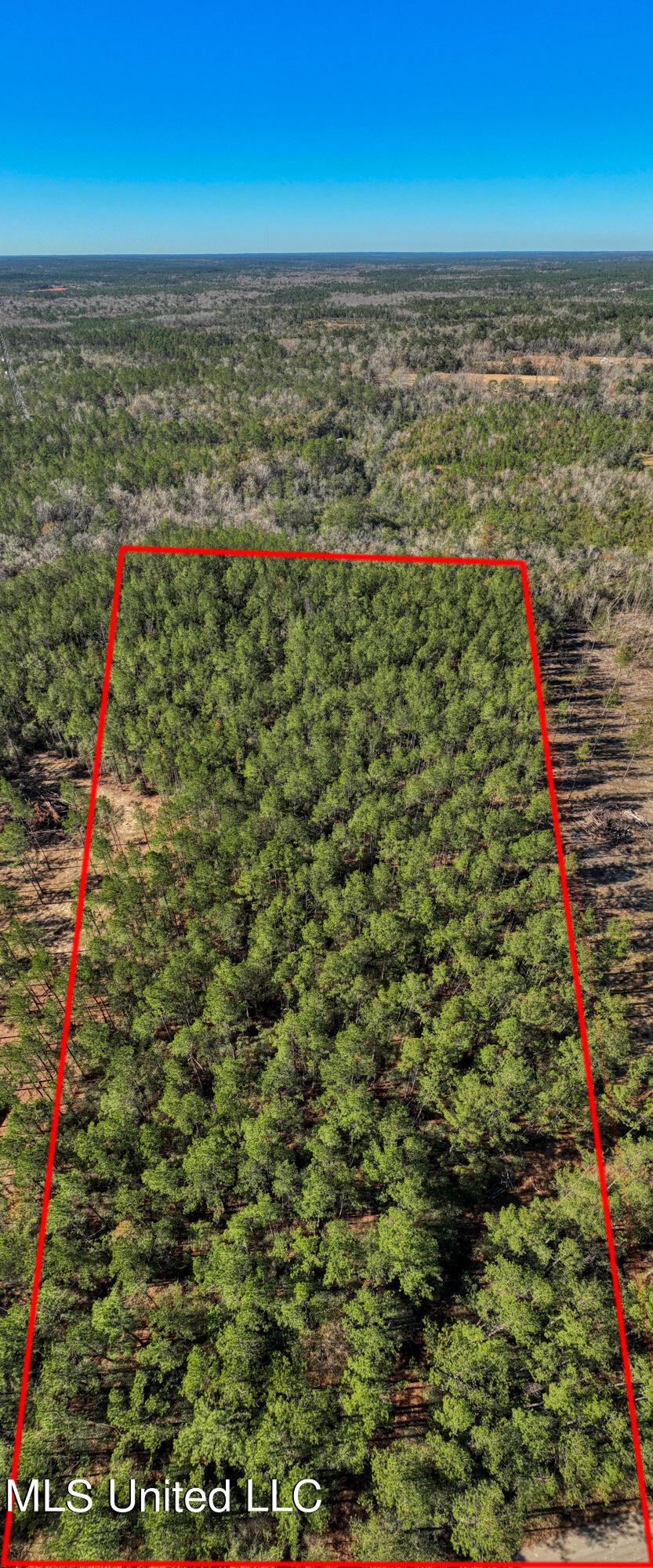 157 Cain Cemetery Road Perkinston, MS 39573 - Photo 1 of 9 Aerial