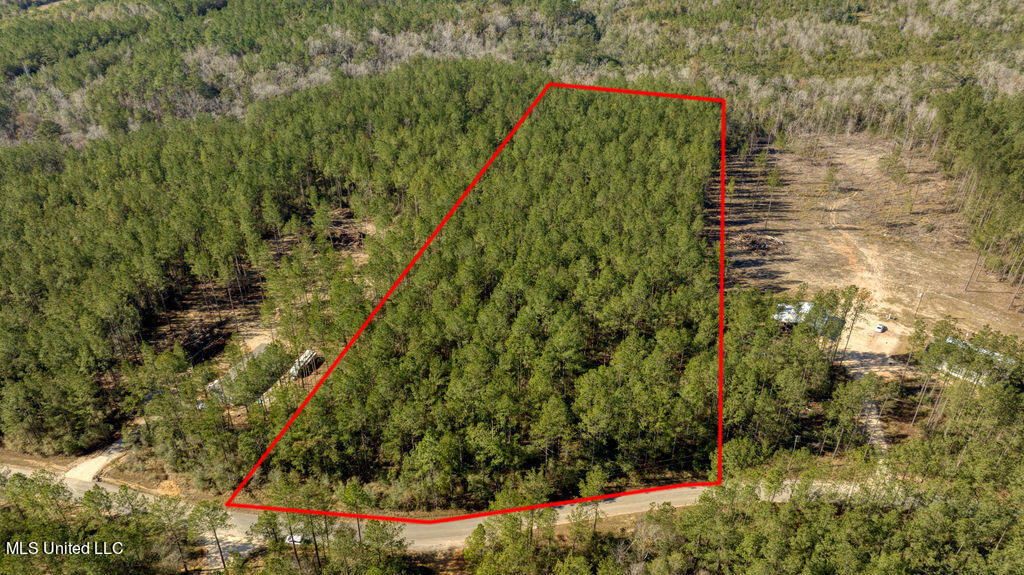 157 Cain Cemetery Road Perkinston, MS 39573 - Photo 2 of 9 104CainCemeteryRd-1