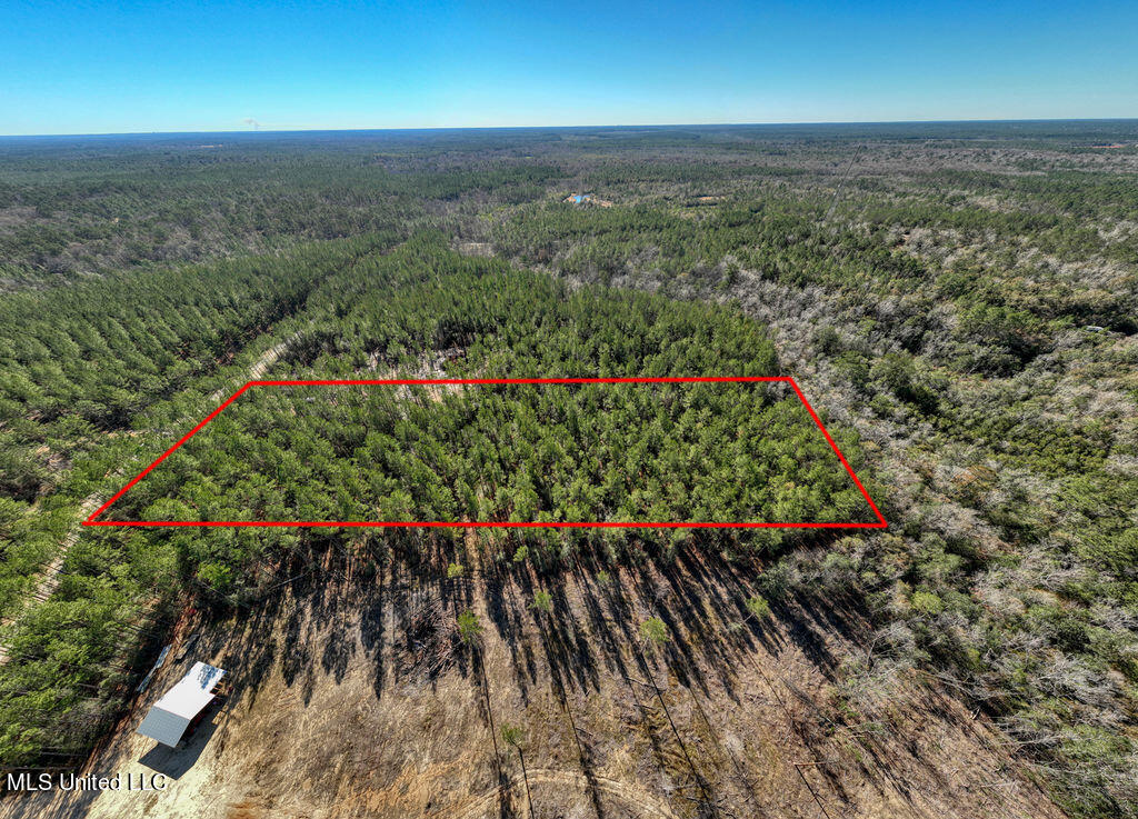 157 Cain Cemetery Road Perkinston, MS 39573 - Photo 7 of 9 104CainCemeteryRd-8