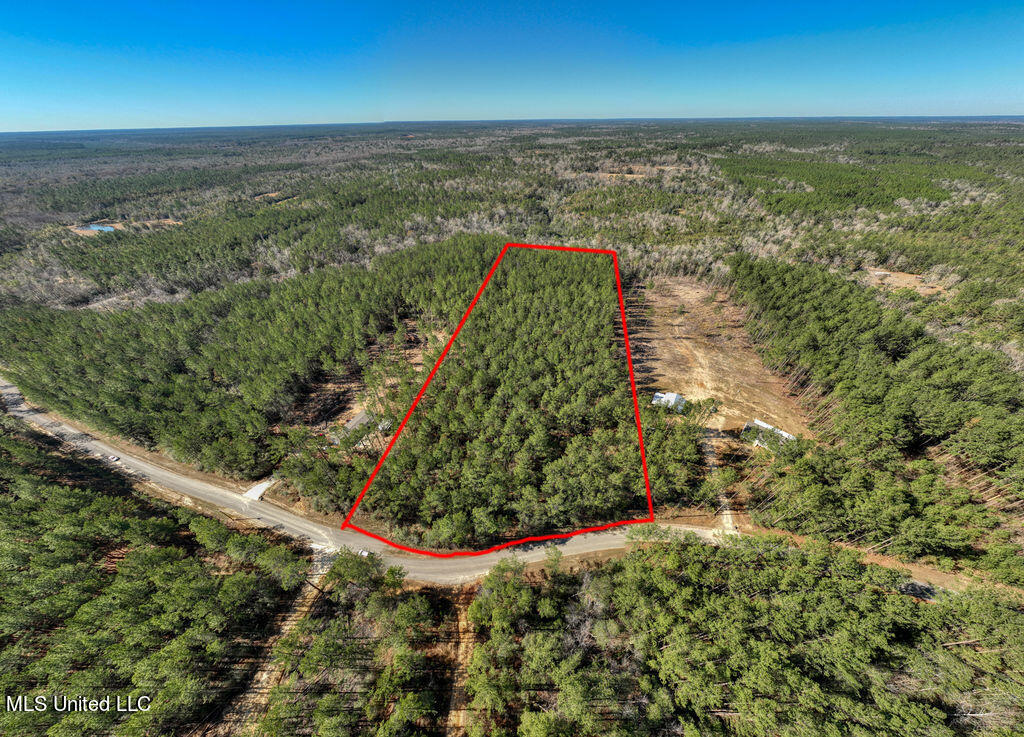 157 Cain Cemetery Road Perkinston, MS 39573 - Photo 8 of 9 104CainCemeteryRd-9