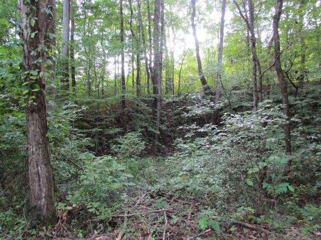 97 Tar Kiln Road Jasper, TN 37347 - Photo 5 of 26 Tarkiln Road 016