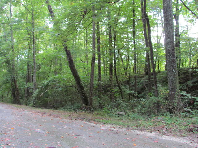 97 Tar Kiln Road Jasper, TN 37347 - Photo 6 of 26 Tarkiln Road 017