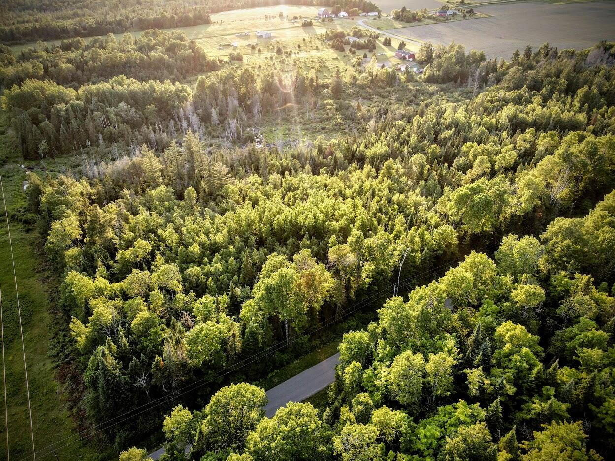 M6-l38 Coffin Road Washburn, ME 04786 - Photo 3 of 7 Sarah 03