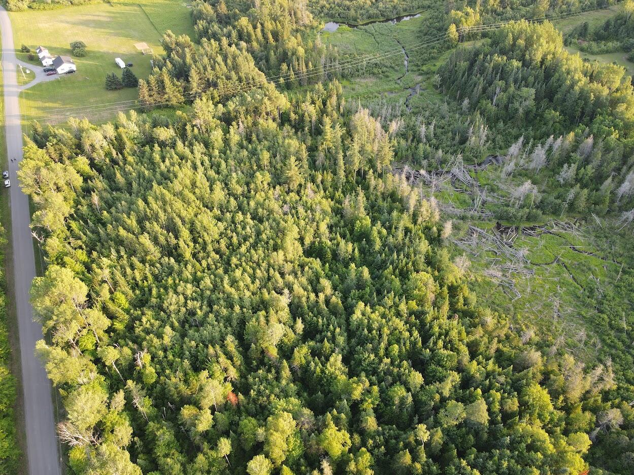 M6-l38 Coffin Road Washburn, ME 04786 - Photo 4 of 7 Sarah 04