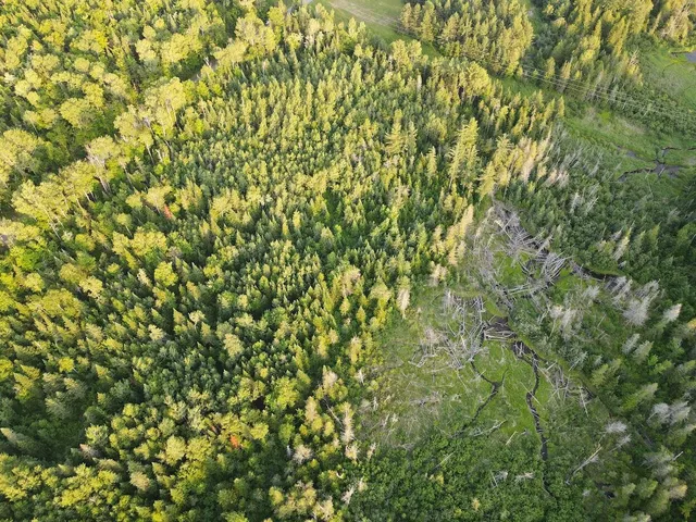 $35,500 | M6-l38 Coffin Road, Washburn, ME 04786