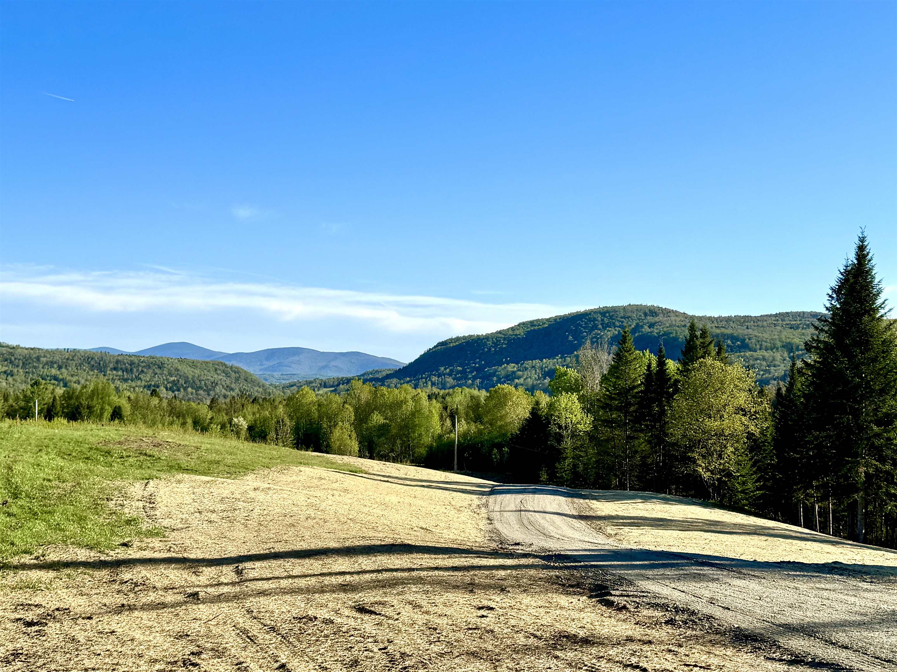 Lot 8 Gulch Brook Road Stewartstown, NH 03576 - Photo 2 of 22