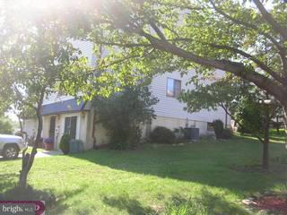 824 Crestview Road Philadelphia, PA 19128 - Photo 5 of 6