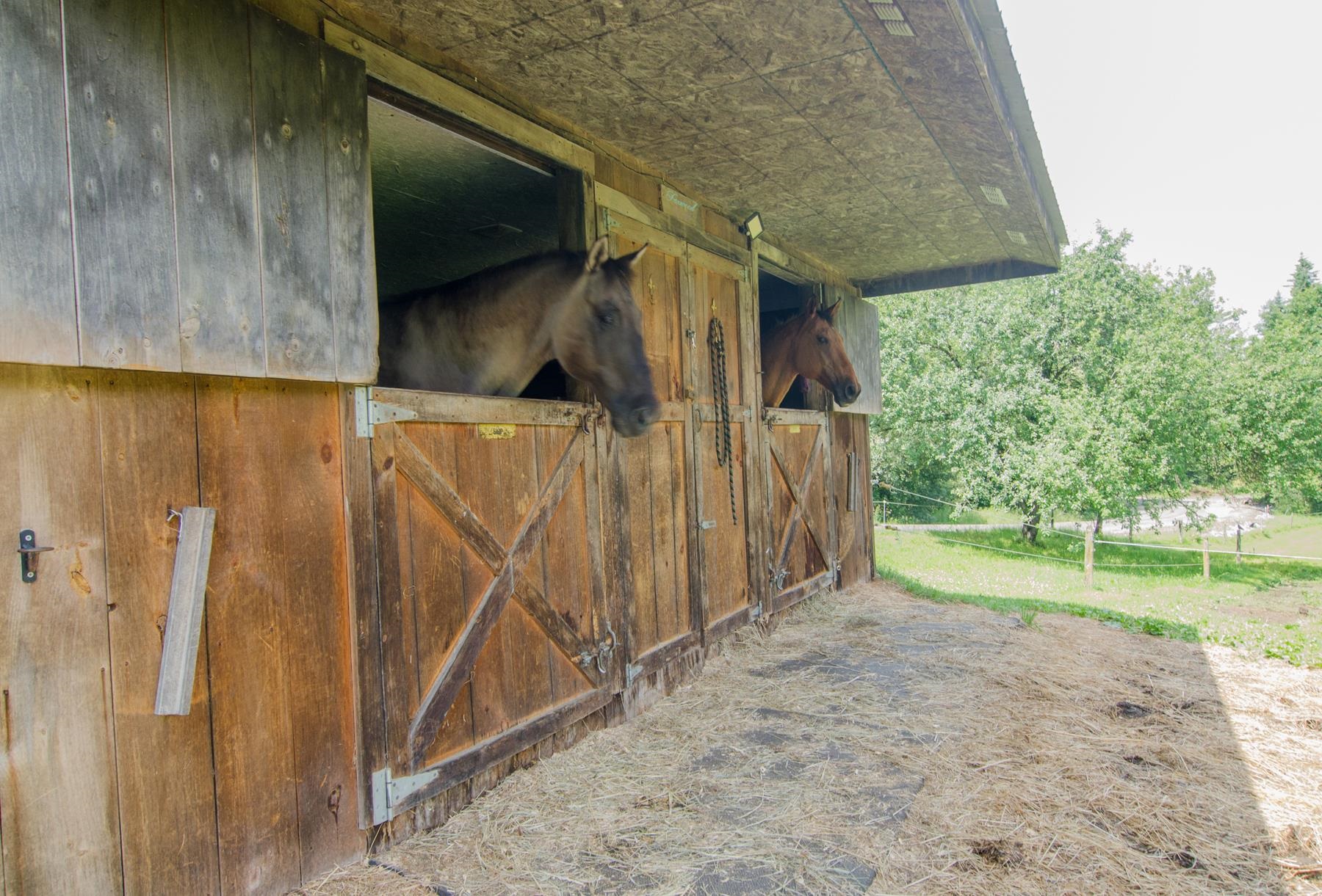 488 T-17 Barton, VT 05822 - Photo 7 of 19